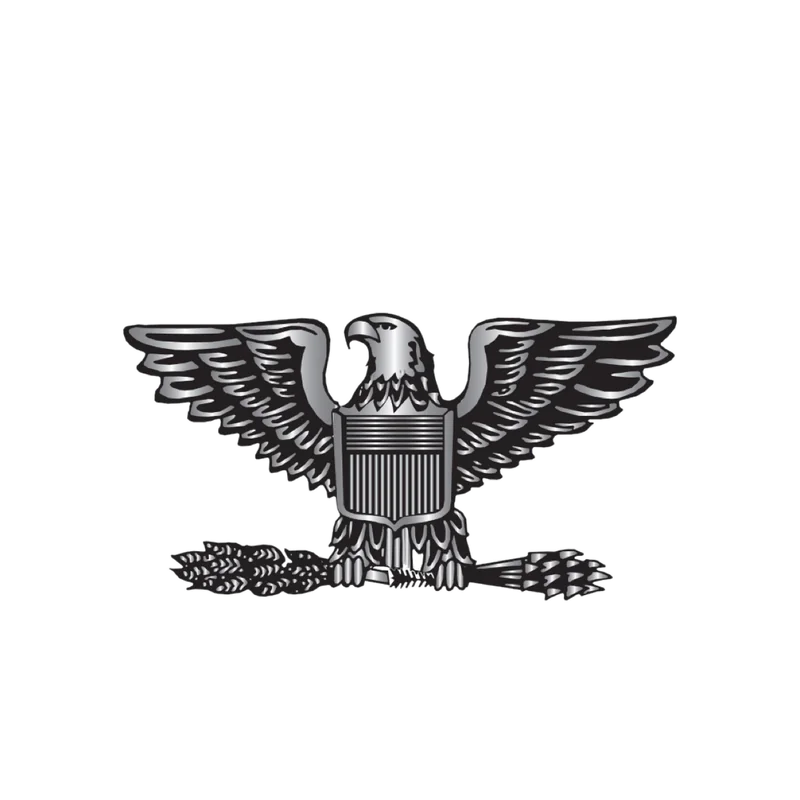 Colonel insignia